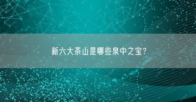 新六大茶山是哪些泉中之宝？