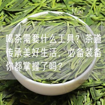 喝茶需要什么工具？茶道传承美好生活，必备装备你都掌握了吗？