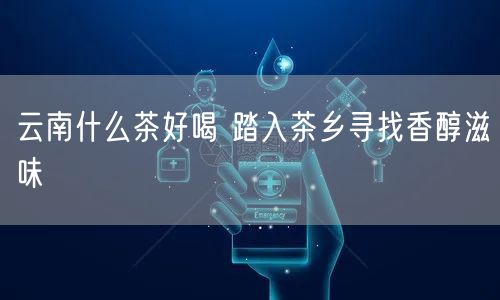 云南什么茶好喝 踏入茶乡寻找香醇滋味
