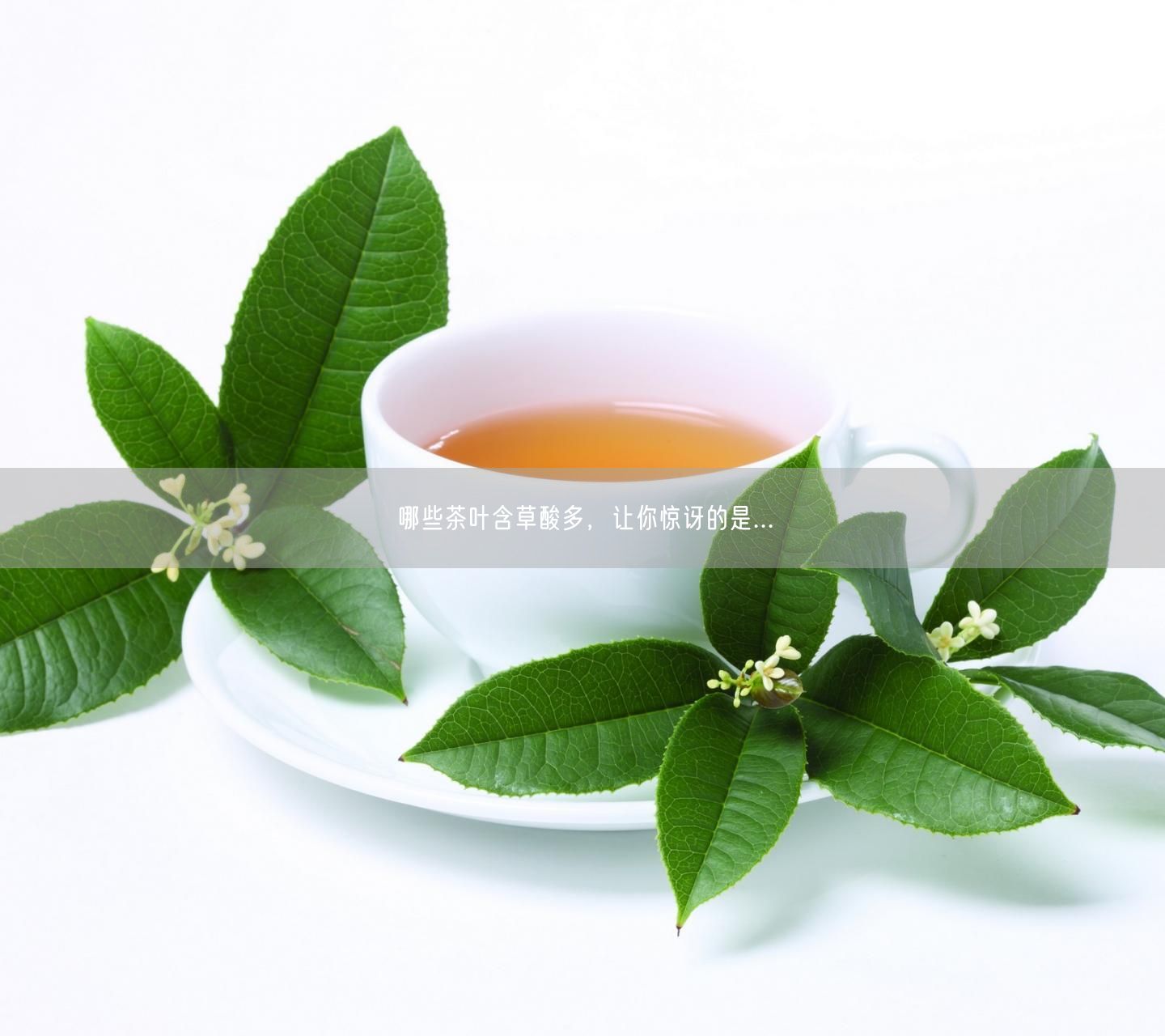 哪些茶叶含草酸多，让你惊讶的是...