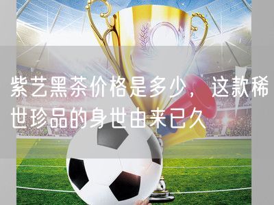 紫艺黑茶价格是多少，这款稀世珍品的身世由来已久