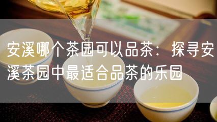 安溪哪个茶园可以品茶：探寻安溪茶园中最适合品茶的乐园