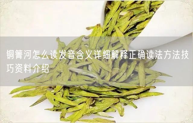 铜箐河怎么读发音含义详细解释正确读法方法技巧资料介绍