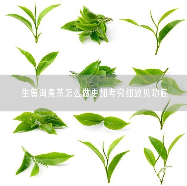生普洱煮茶怎么做更加考究细致见功底