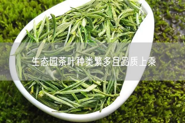 生态园茶叶种类繁多且品质上乘