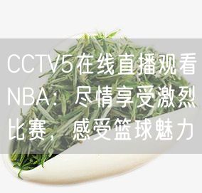 CCTV5在线直播观看NBA：尽情享受激烈比赛，感受篮球魅力