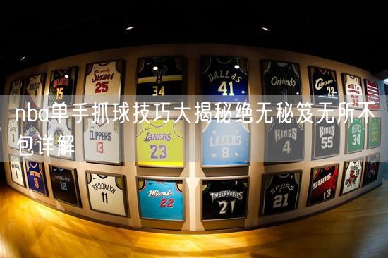 nba单手抓球技巧大揭秘绝无秘笈无所不包详解
