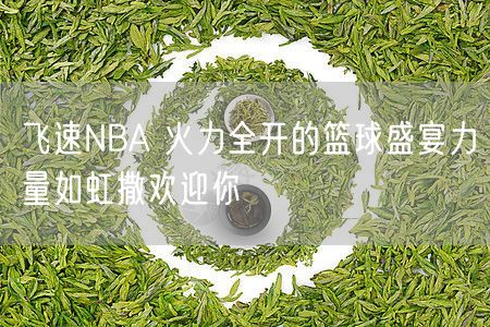 飞速NBA 火力全开的篮球盛宴力量如虹撒欢迎你