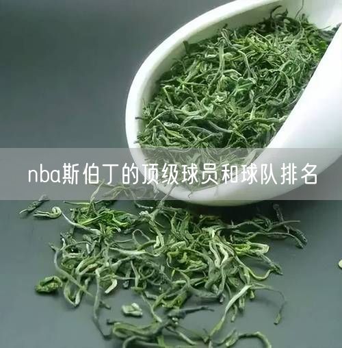 nba斯伯丁的顶级球员和球队排名