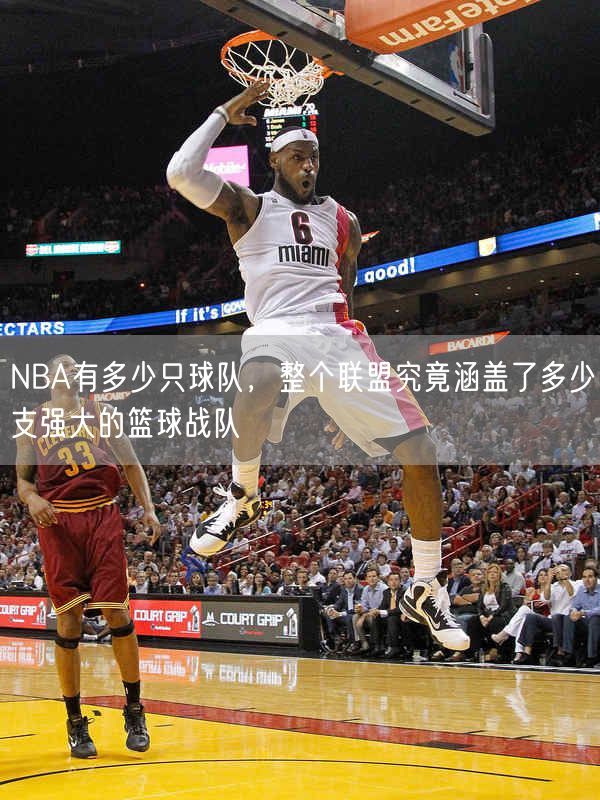 NBA有多少只球队，整个联盟究竟涵盖了多少支强大的篮球战队