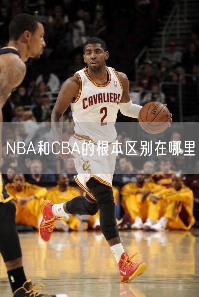 NBA和CBA的根本区别在哪里