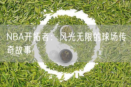 NBA开拓者：风光无限的球场传奇故事