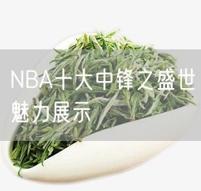 NBA十大中锋之盛世魅力展示