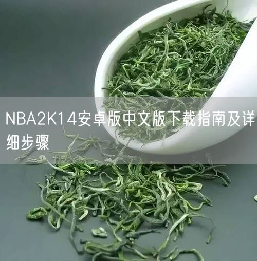 NBA2K14安卓版中文版下载指南及详细步骤