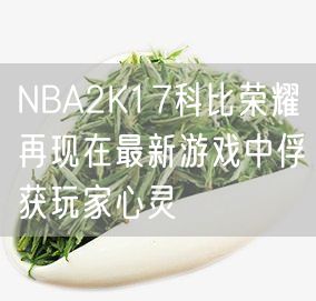 NBA2K17科比荣耀再现在最新游戏中俘获玩家心灵