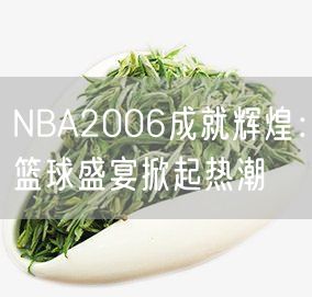 NBA2006成就辉煌：篮球盛宴掀起热潮