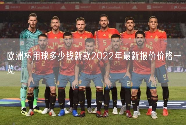 欧洲杯用球多少钱新款2022年最新报价价格一览