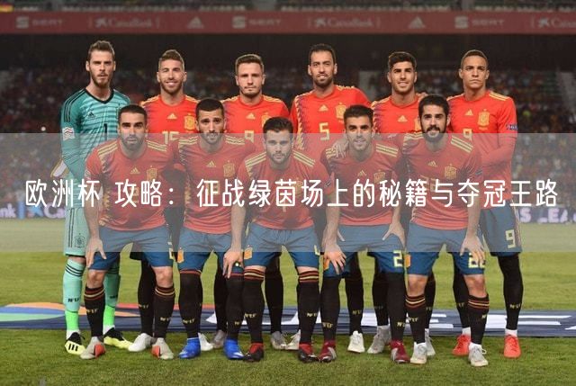 欧洲杯 攻略：征战绿茵场上的秘籍与夺冠王路