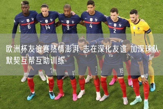 欧洲杯友谊赛热情澎湃 志在深化友谊 加深球队默契互帮互助训练