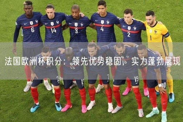 法国欧洲杯积分：领先优势稳固，实力蓬勃展现