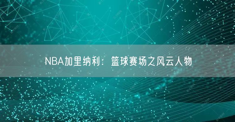 NBA加里纳利：篮球赛场之风云人物