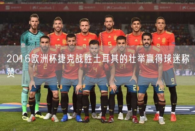 2016欧洲杯捷克战胜土耳其的壮举赢得球迷称赞