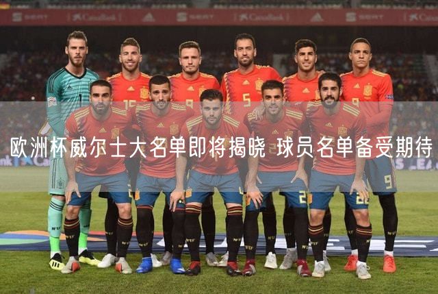 欧洲杯威尔士大名单即将揭晓 球员名单备受期待