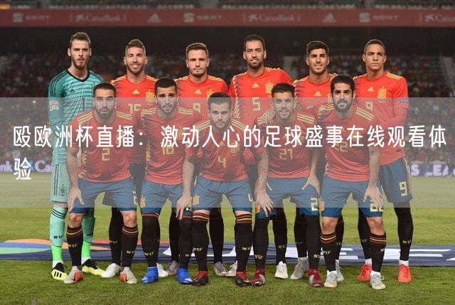 殴欧洲杯直播：激动人心的足球盛事在线观看体验