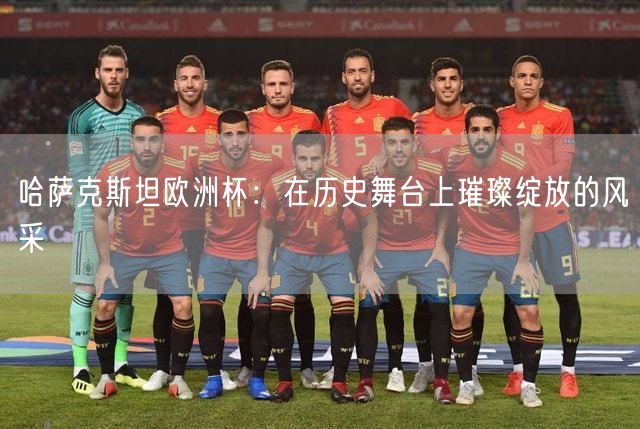 哈萨克斯坦欧洲杯：在历史舞台上璀璨绽放的风采