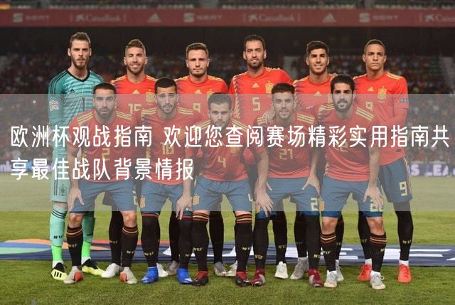 欧洲杯观战指南 欢迎您查阅赛场精彩实用指南共享最佳战队背景情报