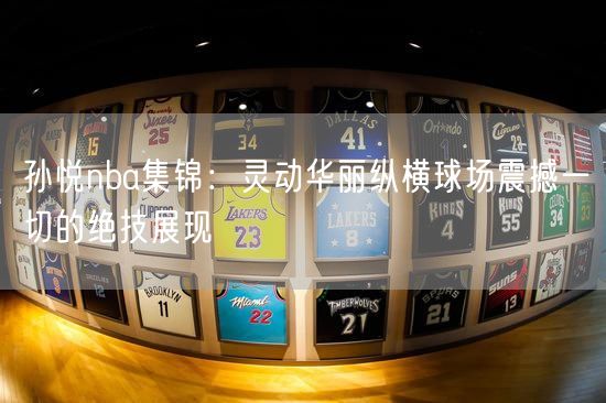孙悦nba集锦：灵动华丽纵横球场震撼一切的绝技展现