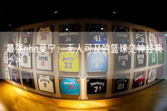 最强nba莫宁：无人可及的篮球之神经典之作