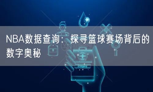NBA数据查询：探寻篮球赛场背后的数字奥秘