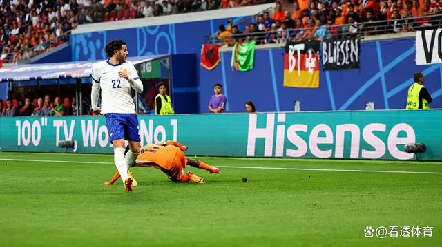 欧洲杯巡礼法国队_法国欧洲杯_欧洲杯巡礼法国
