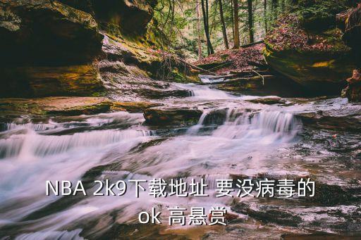 NBA 2k9下载地址 要没病毒的 ok 高悬赏
