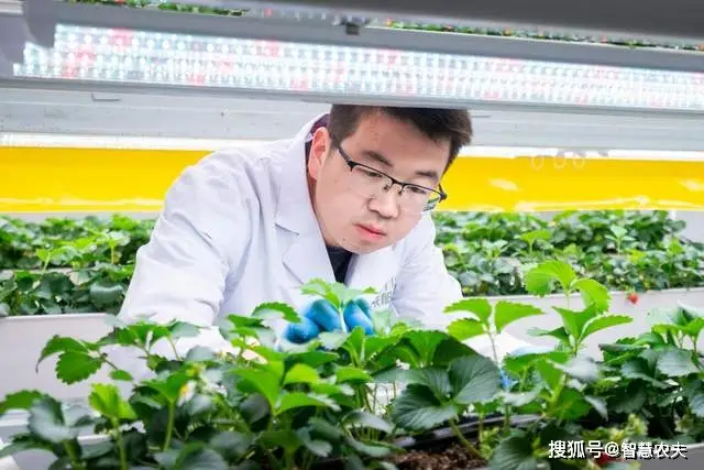 农业科技推广模式_农业科技创新与推广_农业科技技术推广