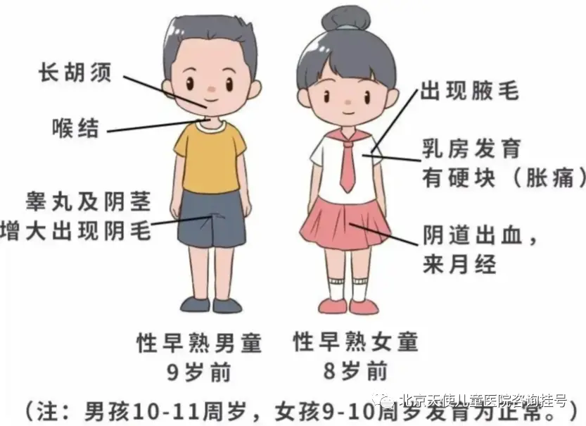 饮食不均衡-均衡饮食图片