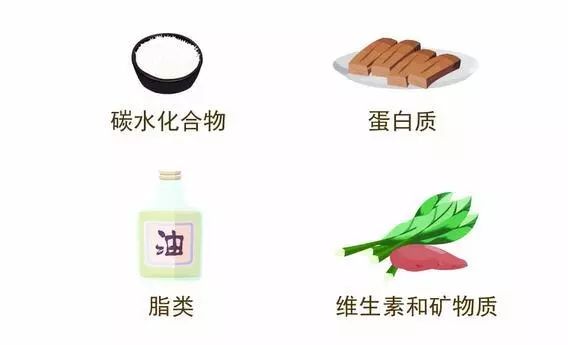 怀孕初期饮食应注意什么_初期怀孕饮食注意应该吃什么_初期怀孕饮食注意应注意什么
