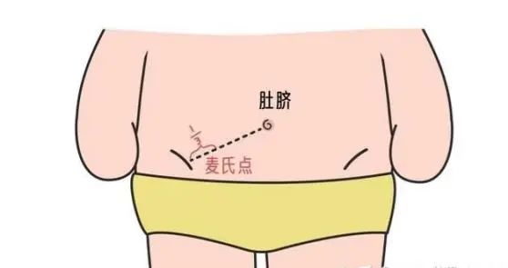 小孩阑尾炎术后饮食注意事项_炎饮食术小孩阑尾后多久能好_小孩阑尾炎术后饮食