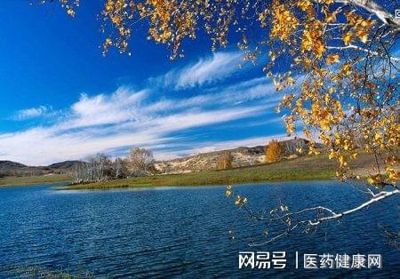 秋季饮食护理的原则是_秋季养生必吃十种食物_秋季 饮食