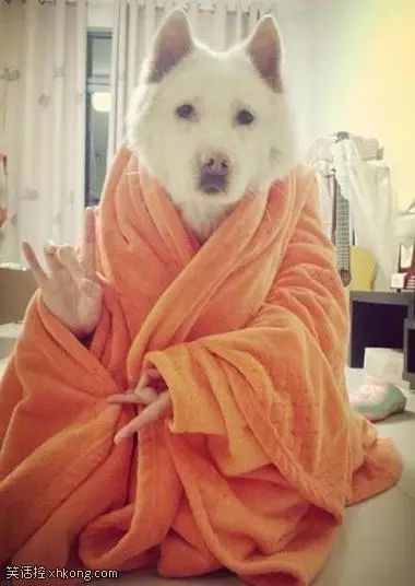 化妆上课总结怎么写_上课偷偷化妆_化妆上课话题深入