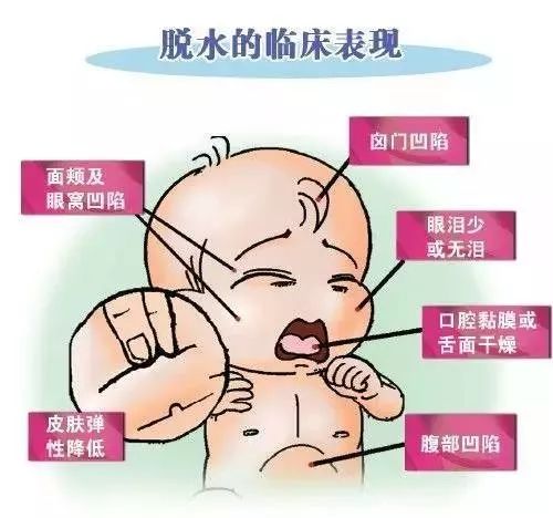 小儿秋季腹泻饮食护理_小儿秋季腹泻后饮食_腹泻秋季饮食小儿后吃什么
