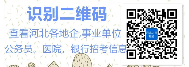 石家庄外国语教育集团2024招聘-石家庄外国语教育集团待遇