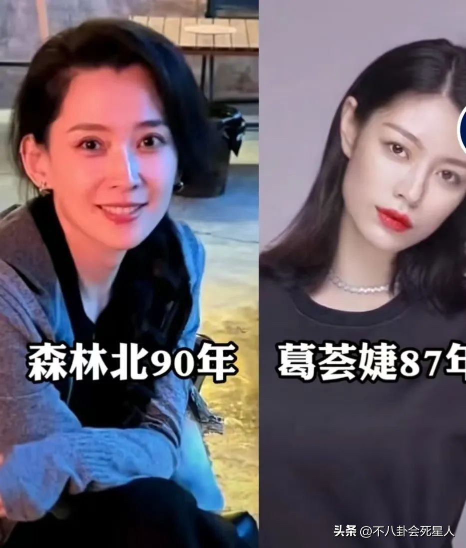 汪峰谈葛荟婕_汪峰情感葛荟婕是哪一期_汪峰与葛荟婕情感