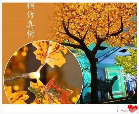 梧桐树表达歌曲情感的句子_梧桐树歌曲表达情感_梧桐树歌曲表达含义