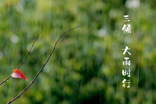 大暑节气食谱_大暑节气饮食顺口溜_大暑节气饮食