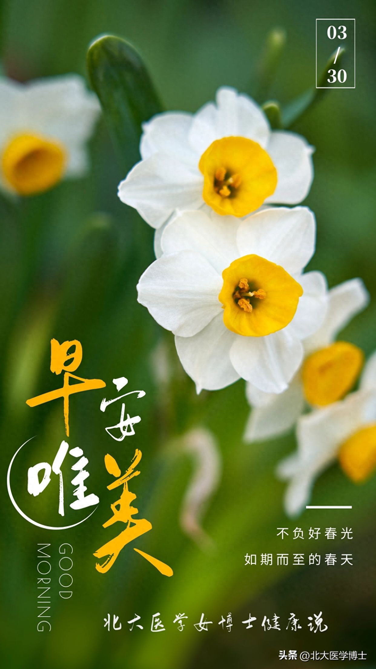 痰瘀阻络的饮食指导-痰瘀阻络汤