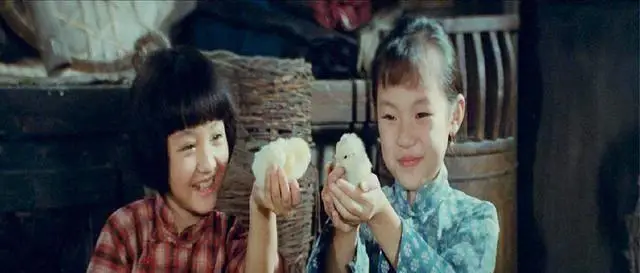 同情和感情的区别_同情情感_同情的概念