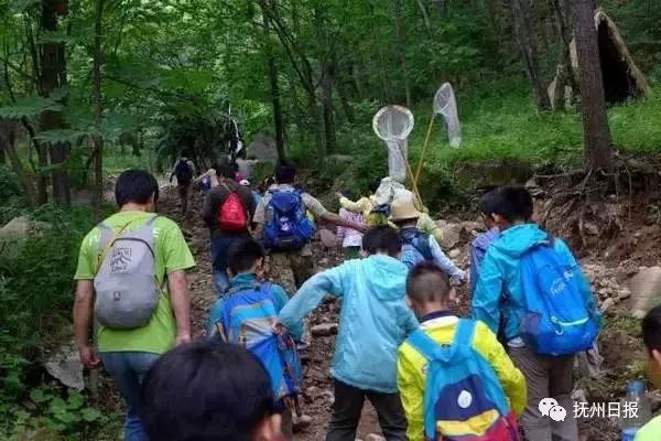抚州市教育信息网_抚州市教育网信息查询_抚州市教育网站