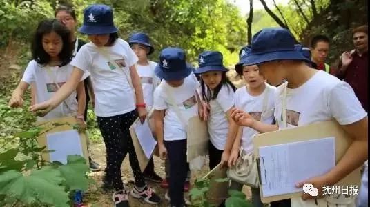 抚州市教育信息网_抚州市教育网站_抚州市教育网信息查询